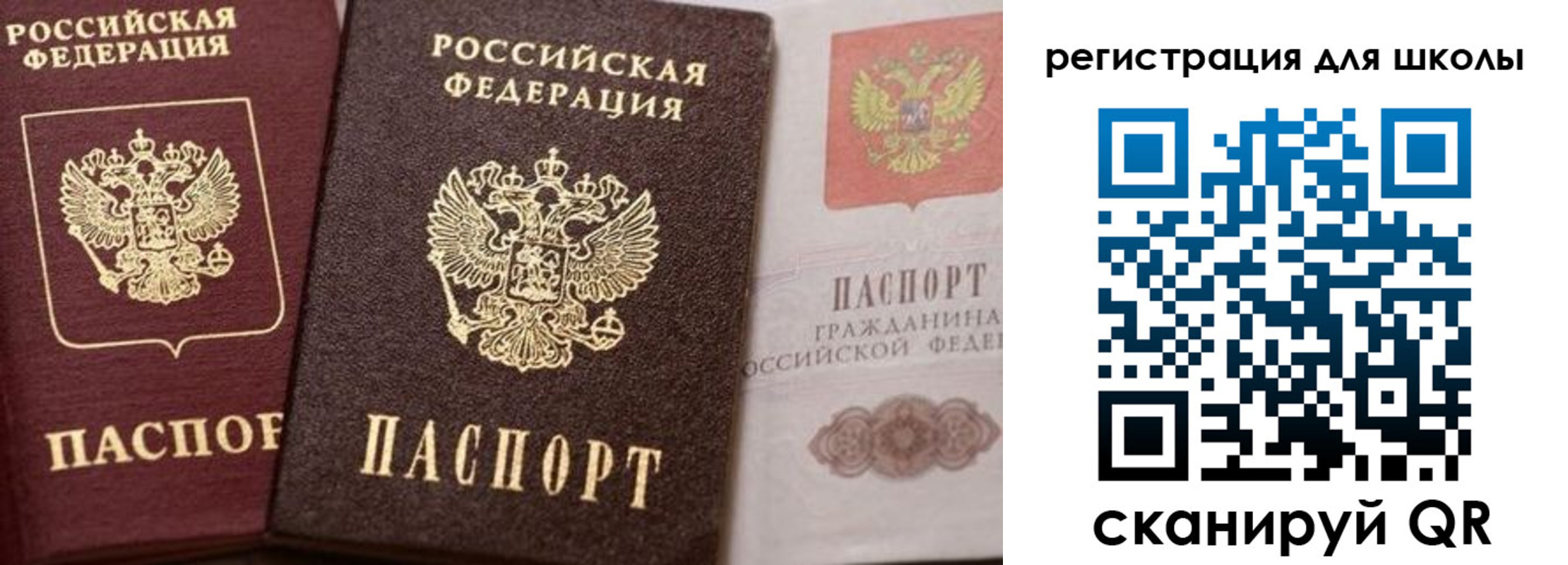 прописка штамп в Бабаево